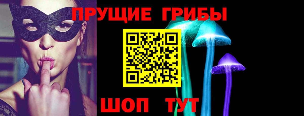 Елизово  где продают наркотики  Вход с VPN  Галлюциногенные грибы мицелий  Псилоцибиновые грибы MAGIC MUSHROOMS 